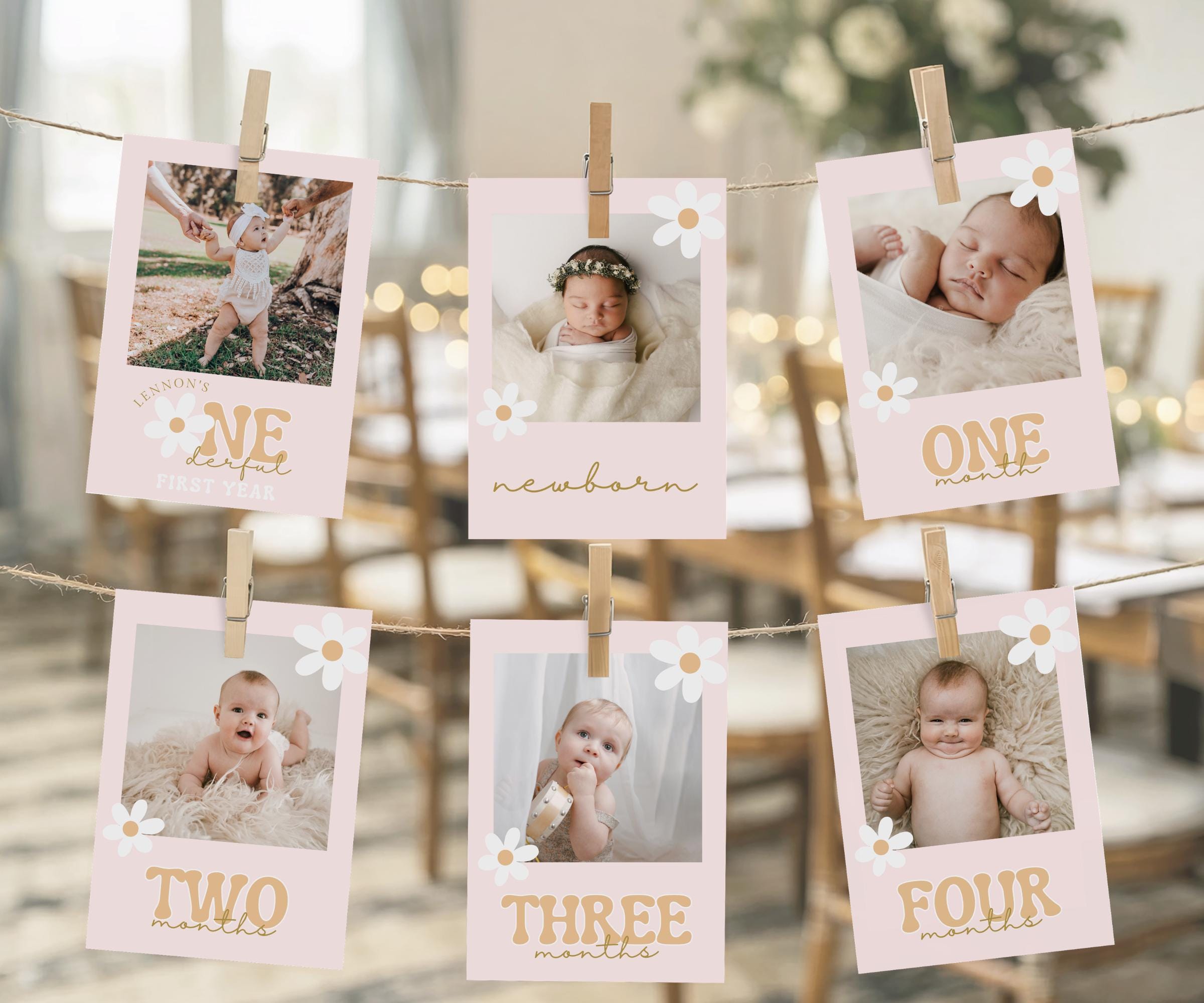 EDITABLE Daisy Monthly Photo Banner, Daisy Monthly Photos Tags ...