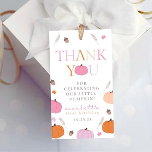 Little Pumpkin First Birthday Favor Tag , Thank You Tags Fall 1st Birthday, Our Little Pumpkin Banner, Pink Orange Template Download 402FT
