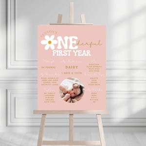 Meilensteinschild 1. Geburtstag, Miss Onederful Meilensteintafel 1. Geburtstag Mädchen, Meilensteinschild 1. Geburtstag, kleine Miss Onederful 722MP