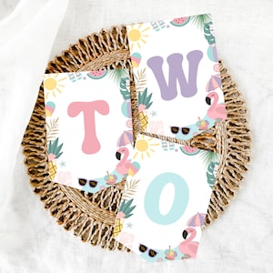 Editable Tropical Summer Splish Splash Two Cool 2nd Birthday One Banner Girl 2nd Birthday Party Pool Party Instant Download 552OB1