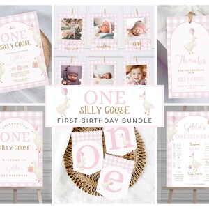 One Silly Goose Birthday Invitation Template, Editable Girl 1st Birthday Pink Printable Invite, Goose First Birthday Party Bundle 808C