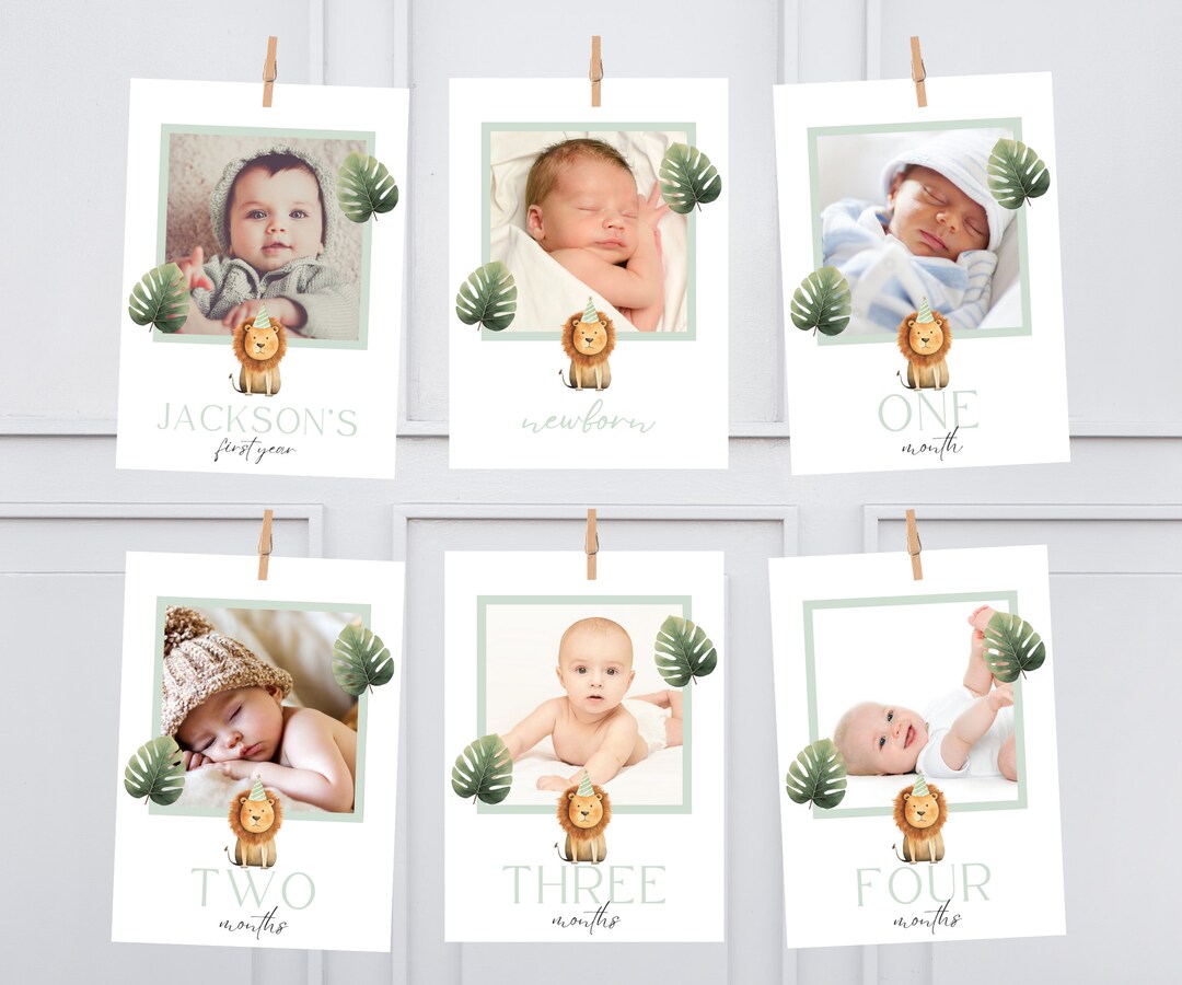 Wild One Birthday Monthly Photo Banner, Wild One Birthday Photo Banner ...