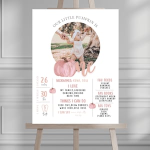 Little Pumpkin First Birthday Milestone Poster, Fall 1st Birthday, Rustic Fall Birthday, One Year Milestone Birthday Party 544MP