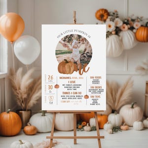 Little Pumpkin First Birthday Milestone Poster, Fall 1st Birthday, Our Little Pumpkin One Year Milestone Birthday Party 545MP