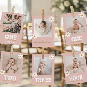 EDITABLE Daisy Monthly Photo Banner, Daisy Monthly Photos Tags Printable, Daisy First Birthday Decor, Floral Photo, Instant Download 722YB