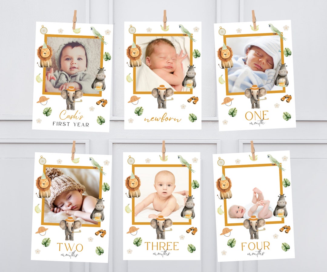 Wild One Birthday Monthly Photo Banner, Wild One Birthday Photo Banner ...
