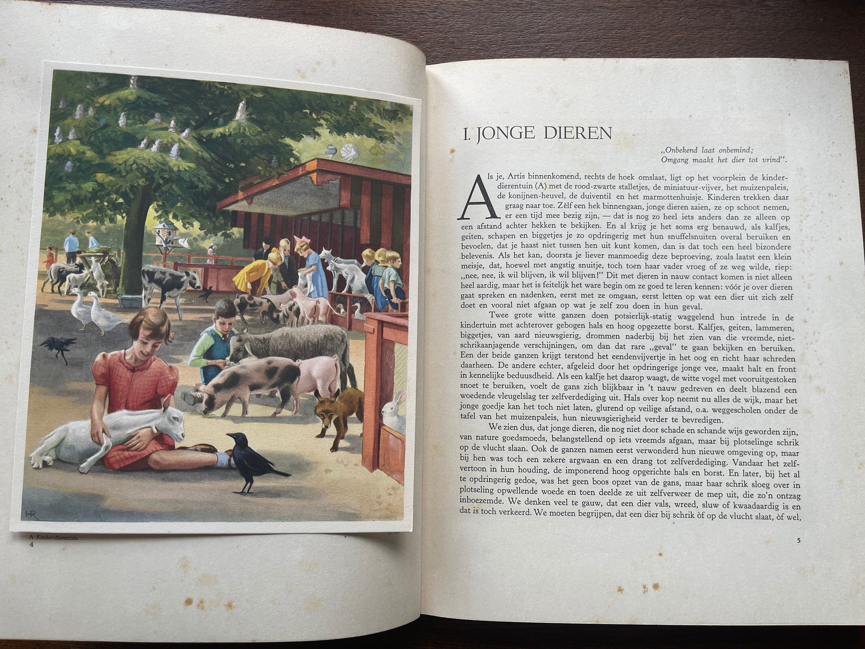 Vintage 1939 Album Images VERKADE'S Fabrieken Artis Zoo