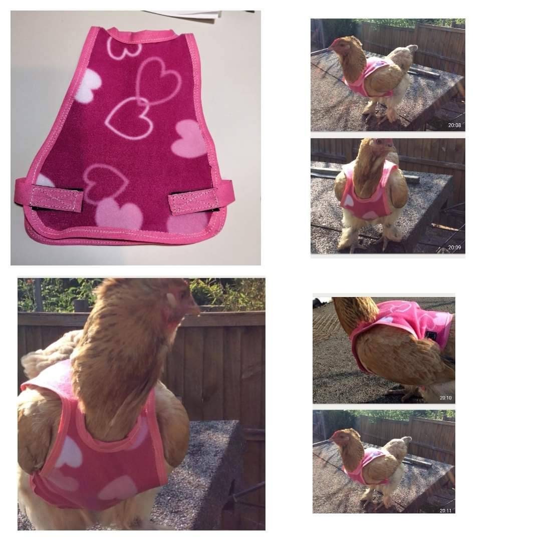 Chicken Jumpers Made to Order Etsy