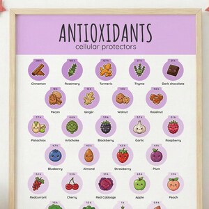 May include: A framed educational poster titled "ANTIOXIDANTS" with illustrations of various fruits, vegetables, and spices. The poster is in a light purple color and has a wooden frame. The poster is surrounded by children's toys, including a teddy bear and building blocks.