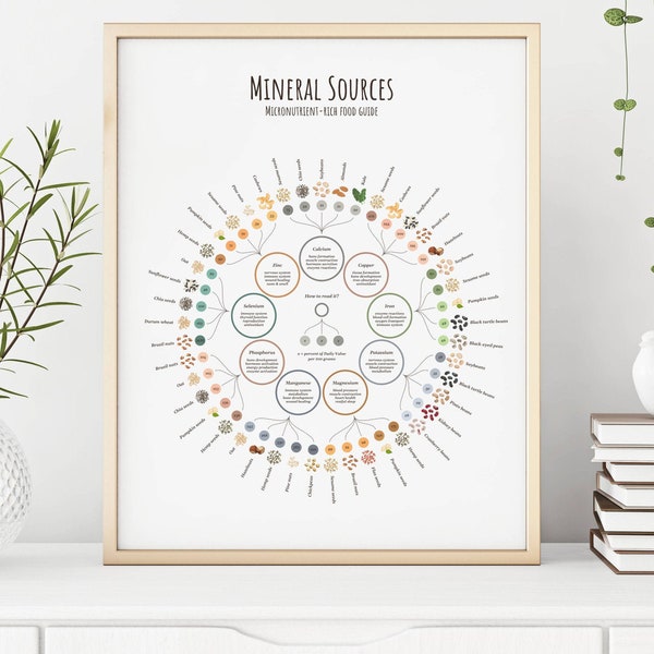 Sources de vitamines et de minéraux - Guide alimentaire végétalien riche en micronutriments - Poster infographique sur la nutrition - Téléchargement numérique