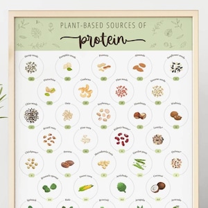 Protein - Plant-based sources - Vegan Nutritional infographic poster - Digital download