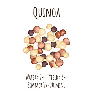 Op de afbeelding: Quinoa kookinstructies met een stapel quinoa-zaden in wit, bruin en zwart.  Water: 2x, Opbrengst: 3x, 15-20 minuten laten sudderen.
