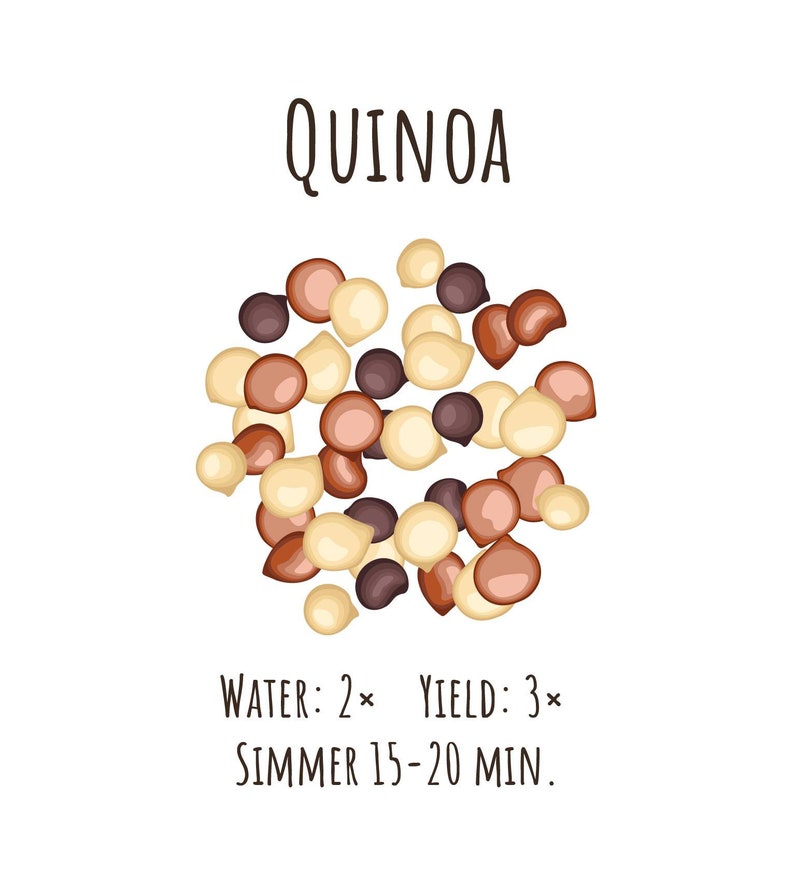 Op de afbeelding: Quinoa kookinstructies met een stapel quinoa-zaden in wit, bruin en zwart.  Water: 2x, Opbrengst: 3x, 15-20 minuten laten sudderen.