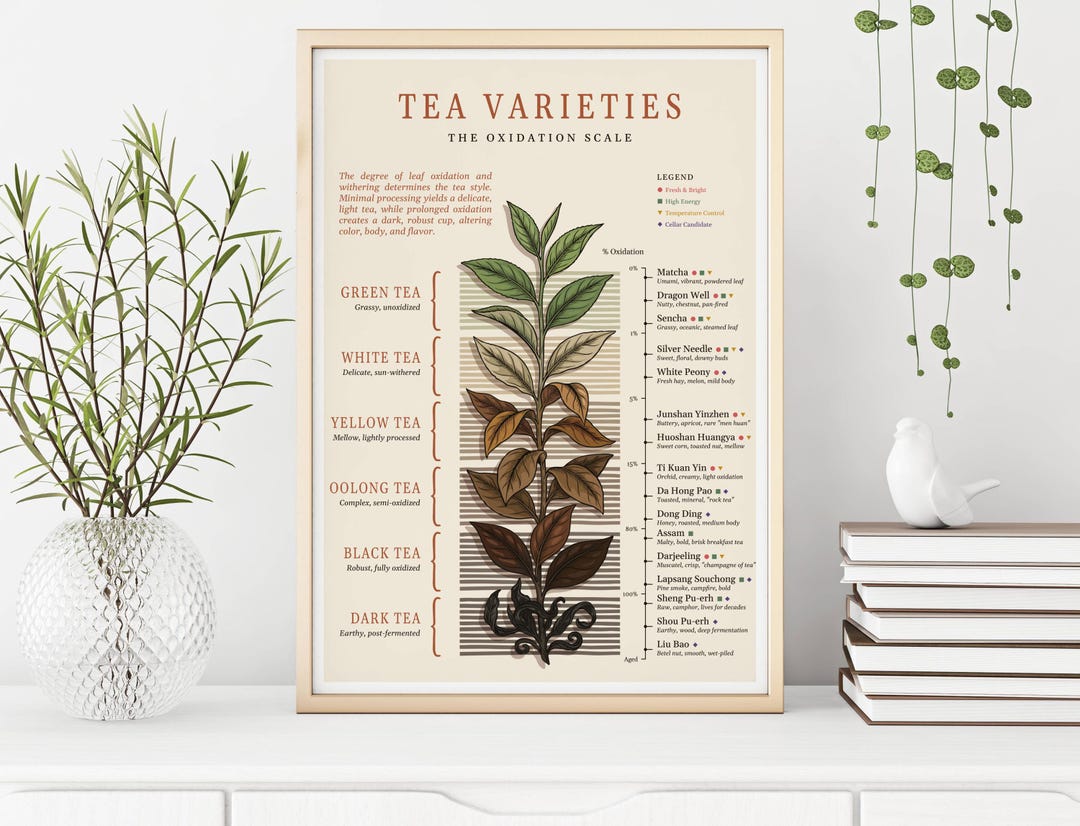 Tea Varieties Oxidation Scale Poster | Tea Steeping & Variety Chart ...