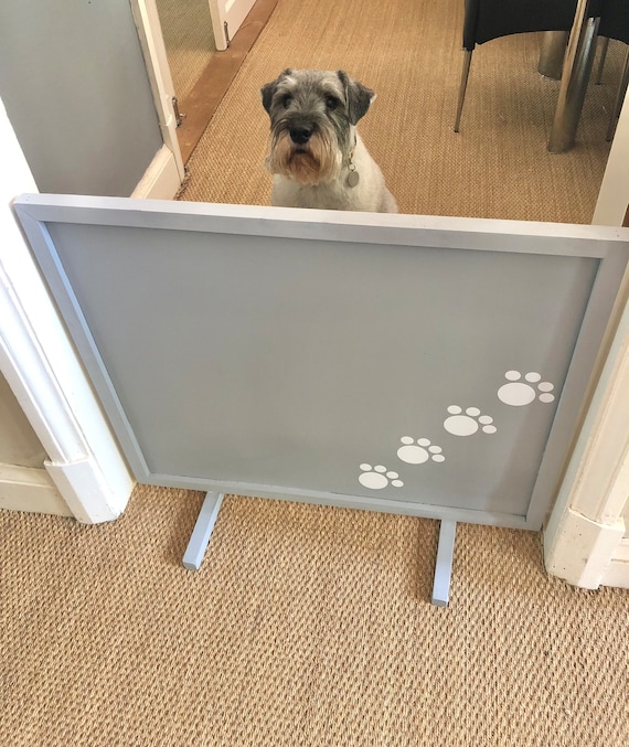 dog door for fence
