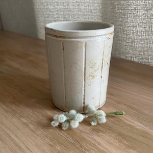 May include: A cylindrical off-white ceramic vessel featuring vertical recessed grooves along its exterior. The surface displays a weathered, speckled texture with subtle orange-brown staining around the rim and base, accompanied by a small sprig of fuzzy white catkins.