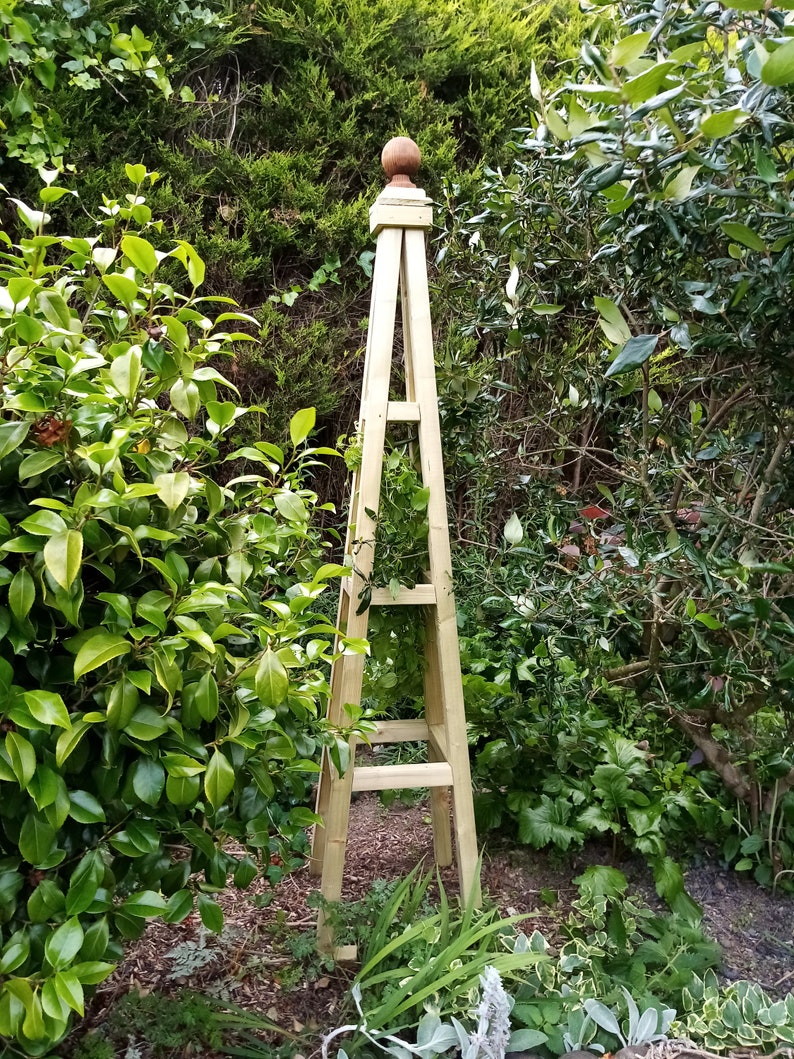 The Broadwell Rustic Wooden Tanalised Garden Obelisk Trellis Etsy