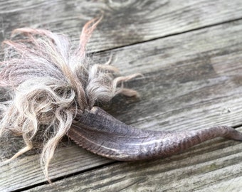 Ram's horn with wool tuft