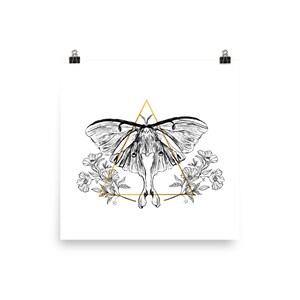Moth Poster