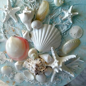 Modern Seashell Art, Coastal Wall Hanging, Unique 16 Round Canvas ...