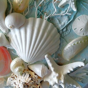 Modern Seashell Art, Coastal Wall Hanging, Unique 16 Round Canvas ...