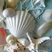 Modern Seashell Art, Coastal Wall Hanging, Unique 16 Round Canvas ...