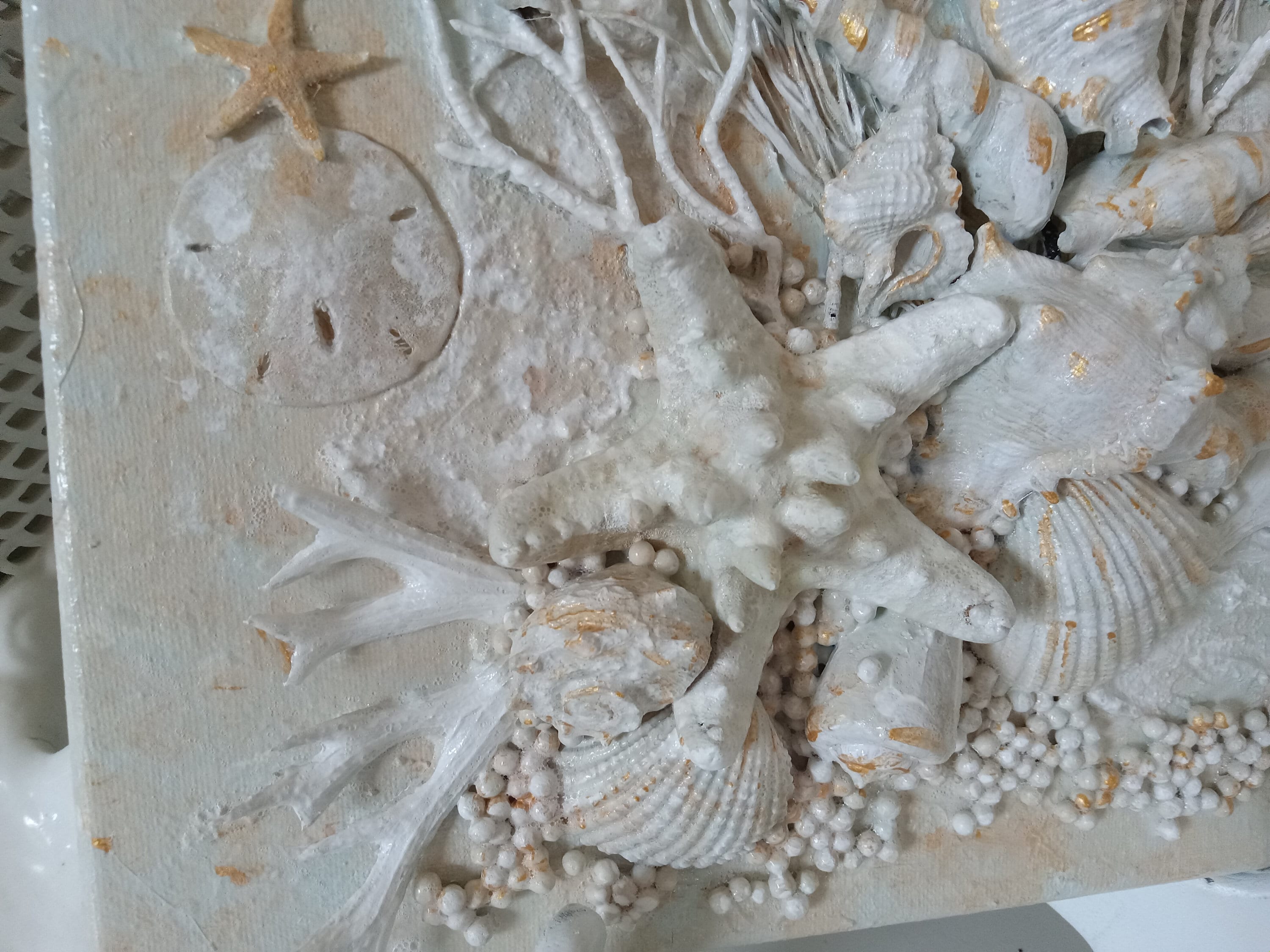 Modern Unique Seashell Coastal Art Wall Hanging, Handmade 12X 12 Beach ...