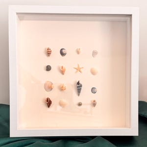 Seashell shadow box Wand- / Tischkunst