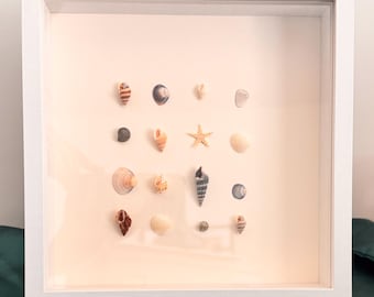 Art mural/tableau d'ombre en forme de coquillage