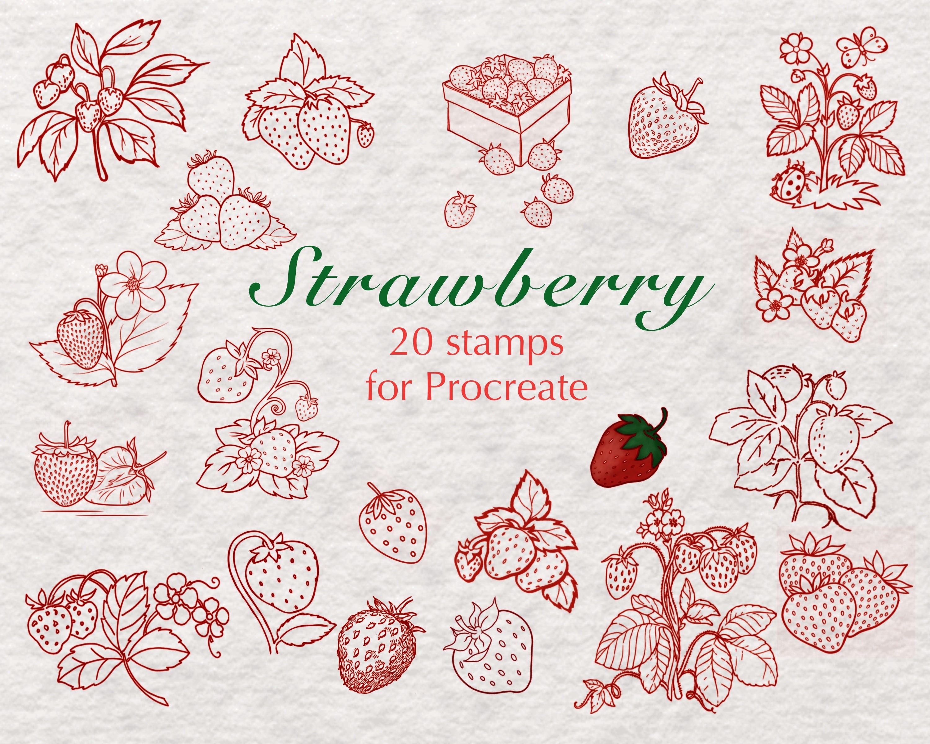 Procreate Stamps Pinceles de fresa Procreate Sellos Etsy