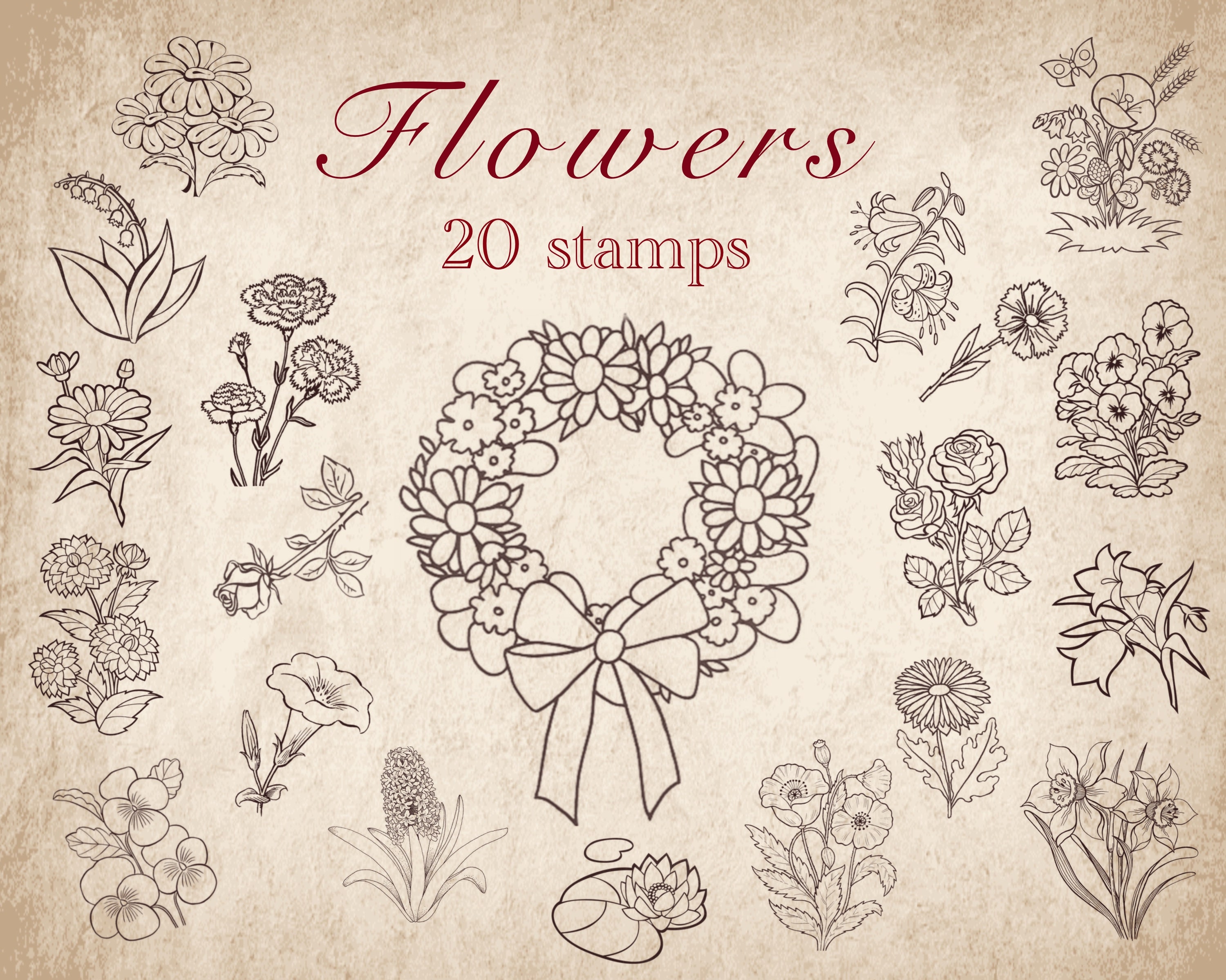 free procreate stamps flowers