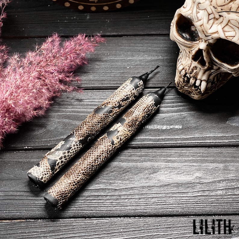May include: Two black and brown snake skin patterned candles on a dark wood surface. A skull with a braided design is in the background.