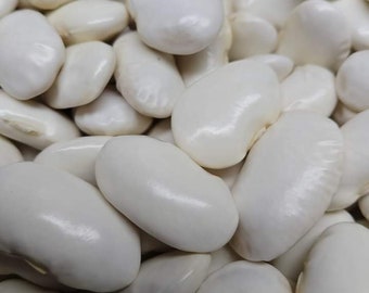 Giant Bean Seeds from Greece/ Freshly dried 20 seeds/Elephant bean/ Very old rare variety/ Open Pollinated/Outdoor Gardening/Butter beans