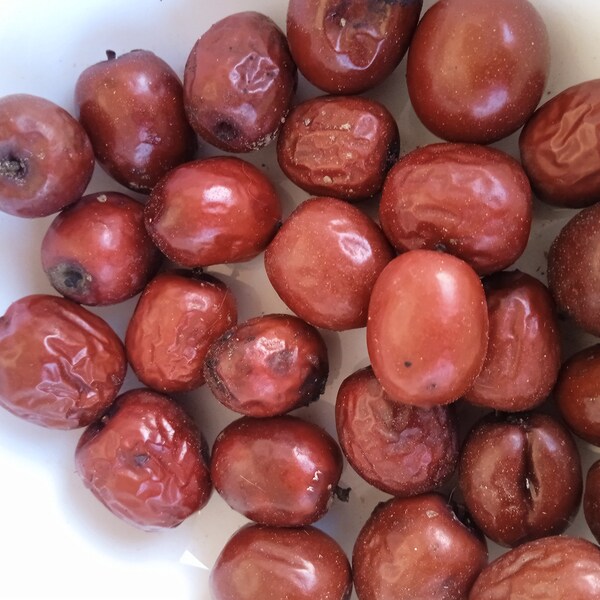 Ziziphus Jujube/Paliurus mairei/20 Semillas frescas/Polinizado abierto/Interior/Exterior/No OGM/Semillas de mi jardín/Hecho a mano/Semillas orgánicas