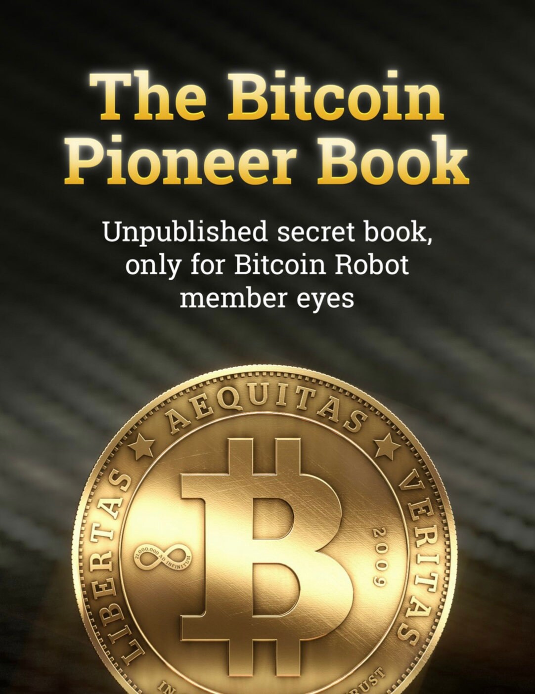 The Bitcoin Pioneer Book - Etsy