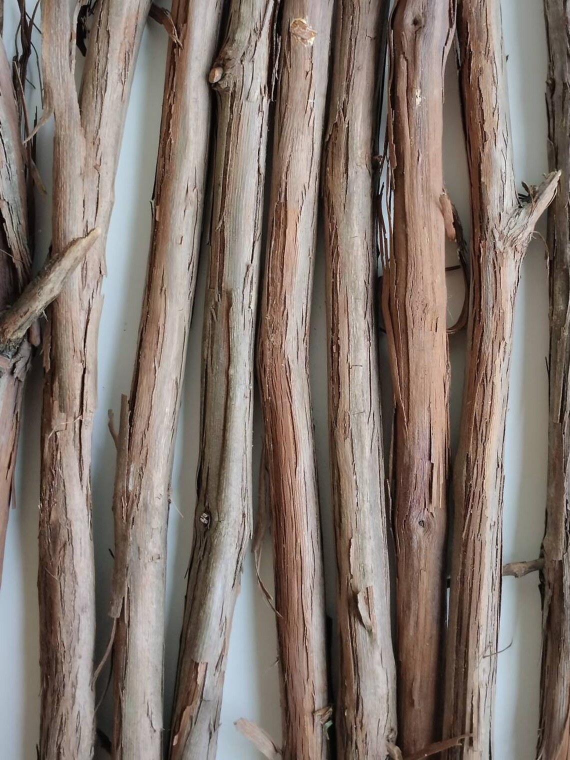 GRAPEVINE SECTIONS WILD Grapevine Grape Vine Wood Sticks Etsy