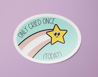 Funny Mental Health Stickers | Only Cried Once | Mental Health Badge Stickers