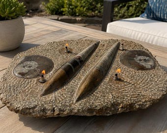 Orthoceras, Ammonite Fossil Rock Oil Candle Lamp: 4-Wick Stone Lamp.