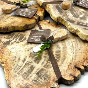 Petrified Wood Tray - Etsy