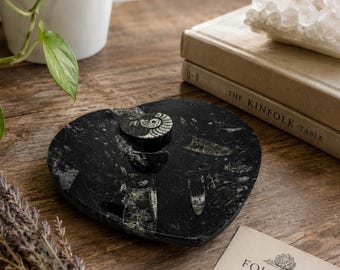 Heart Shaped Fossil Dish – Home Decor Ammonite Orthoceras Stone Jewelry Tray (6.5")