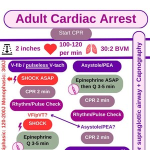 Digital ACLS Badge Buddy Updated Digital File PDF for DIY Printing and