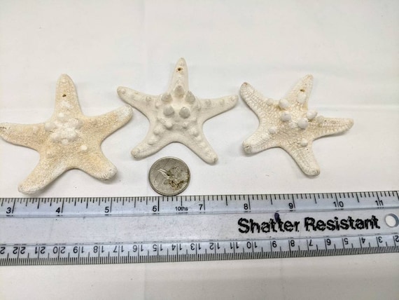 Three Pre-drilled 3 Inch Knobby Starfish for Crafts, Art, Decorations,  Beach Weddings, and More. 