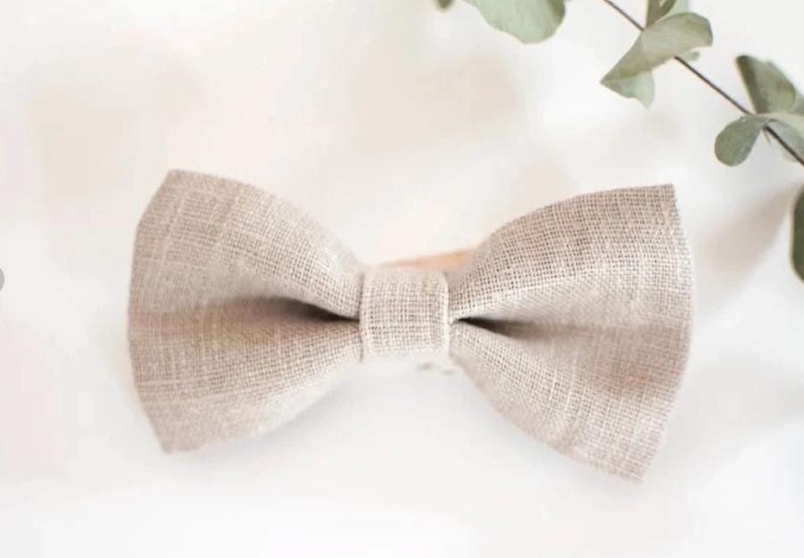 Noeud papillon beige France