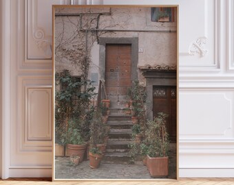 Bracciano Beauty: Wooden Door and Potted Plants Photography - Bracciano, Italy