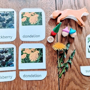 Plantes comestibles - Cartes d'apprentissage Montessori pour l'école à la maison, la recherche de nourriture, l'école forestière et les promenades dans la nature.