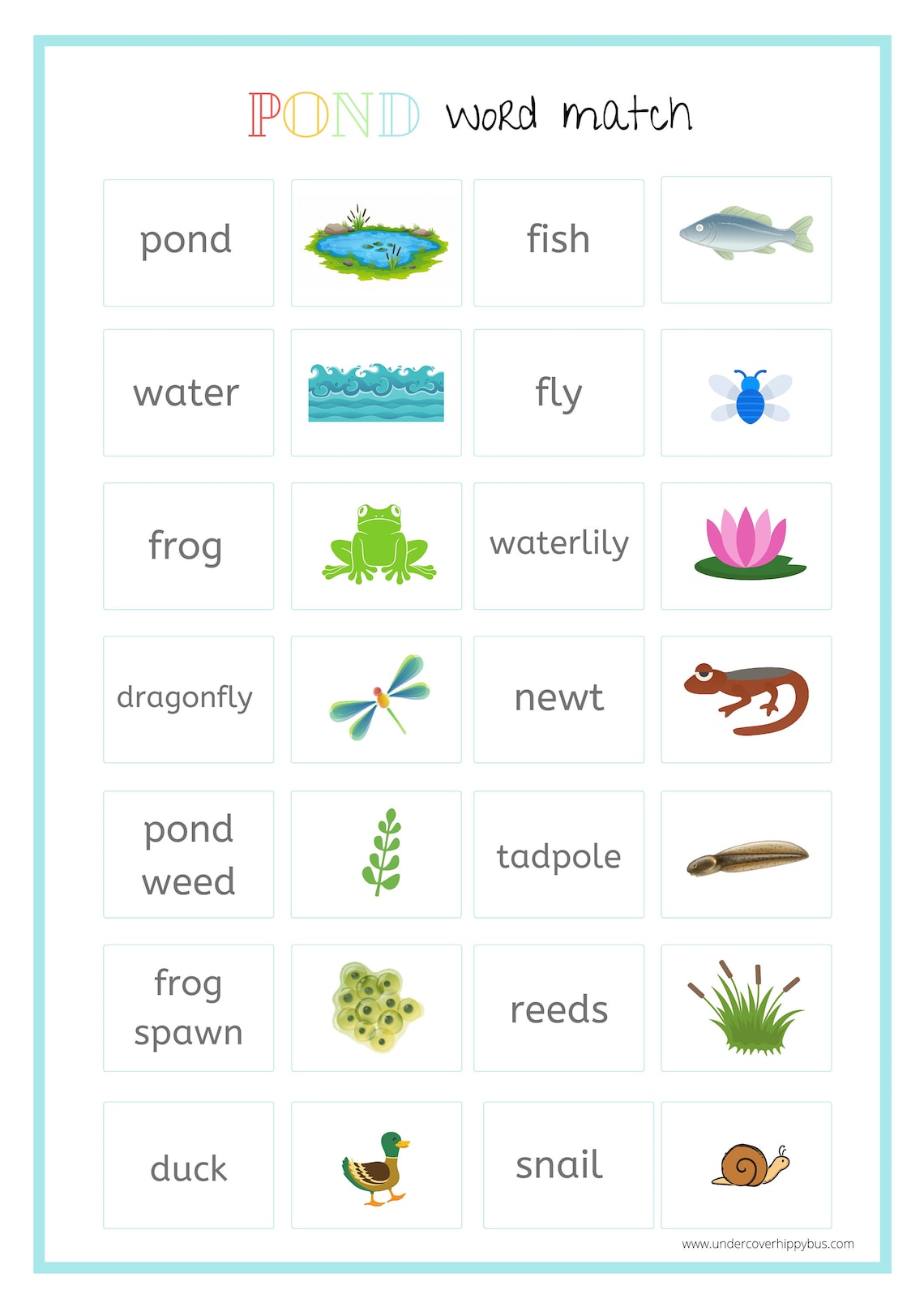 Pond Life Word Match Game, Pairs, Literacy, Early Reading Skills for