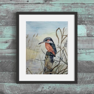 King Fisher, Original Watercolor Painting and Prints