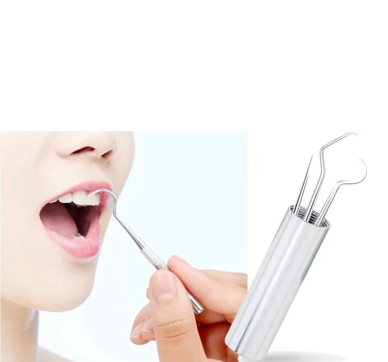 1 Set Stainless Steel Toothpick Set Portable Oral Cleaning Tools Tooth
