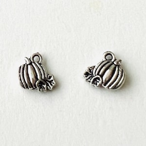 10 Fall Pumpkin Charm,Thanksgiving Charms,Halloween Charms