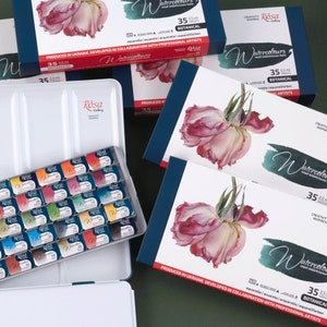Set de pintura ACUARELA Acuarelas profesionales 2,5 ml Pastillas completas 35 colores Set de pintura de acuarela BOTANICAL metal penal UCRANIA Rosa Gallery